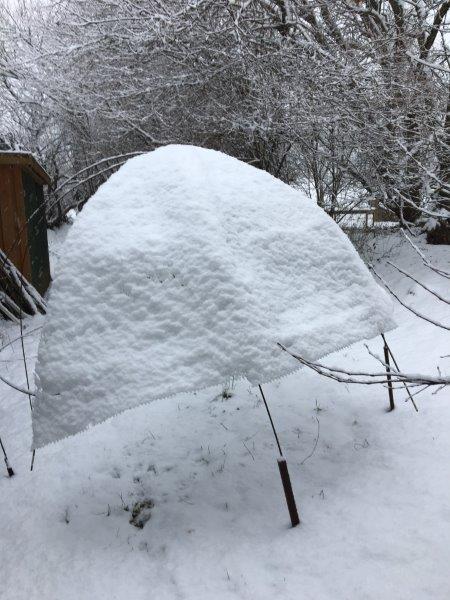 Dach mit Schnee 11. Februar 2017